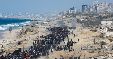 Palestina – Un’iniziativa dal basso di oltre 300 docenti di Macerata
